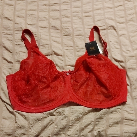 Wacoal Other - Wacoal Scarlet Lace Bra